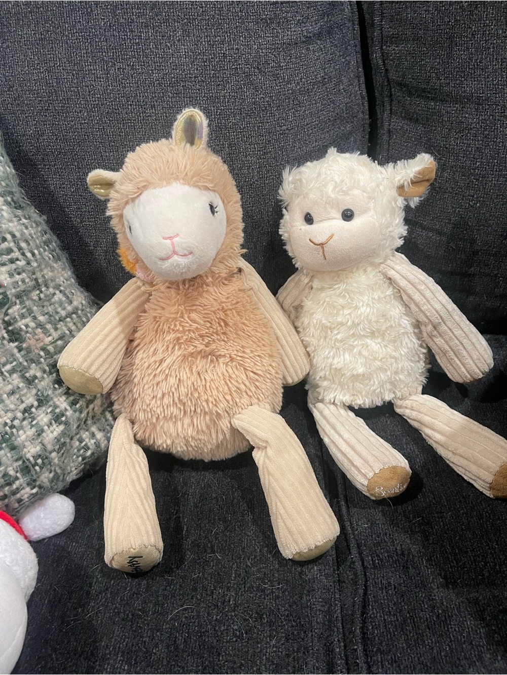 Scentsy buddy bundle